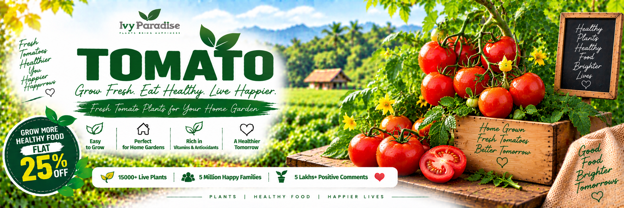 Tomato
