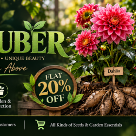 Tuber
