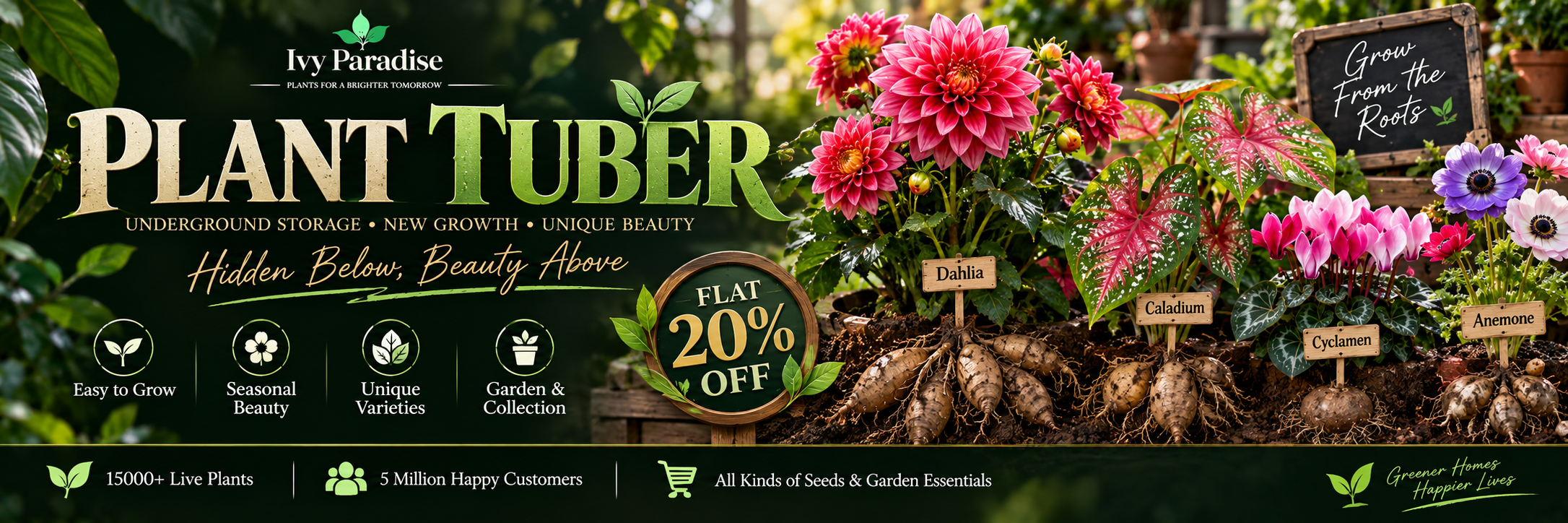 Tuber