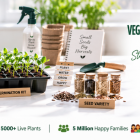Vegetable Seeds