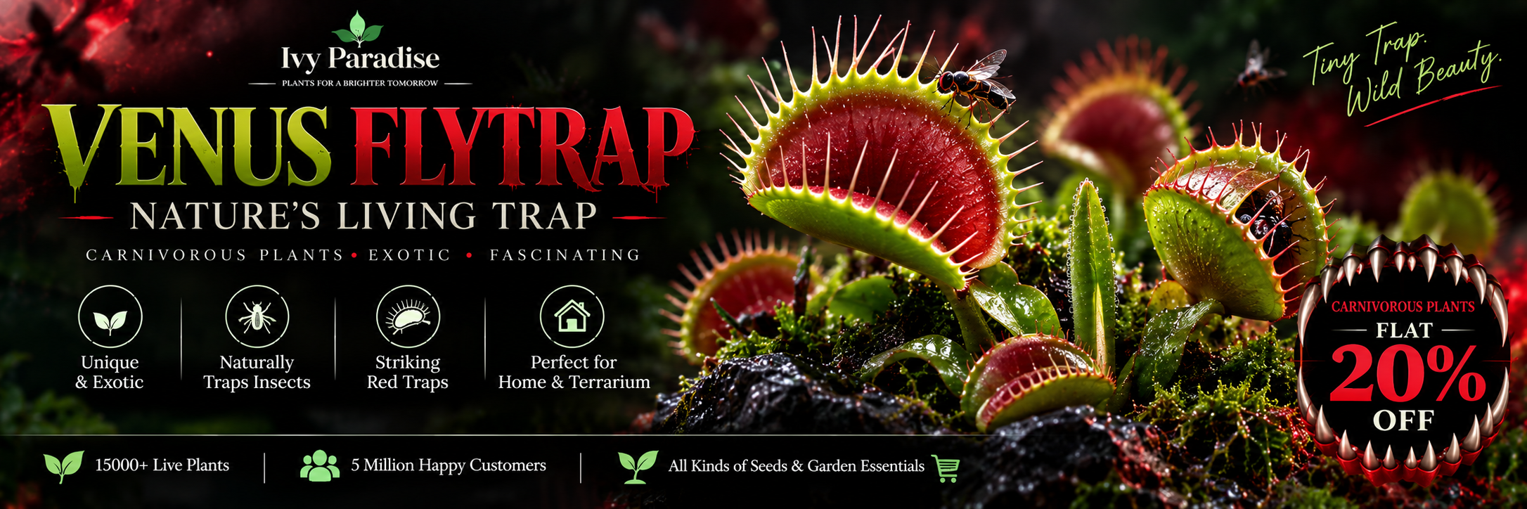 Venus Flytrap