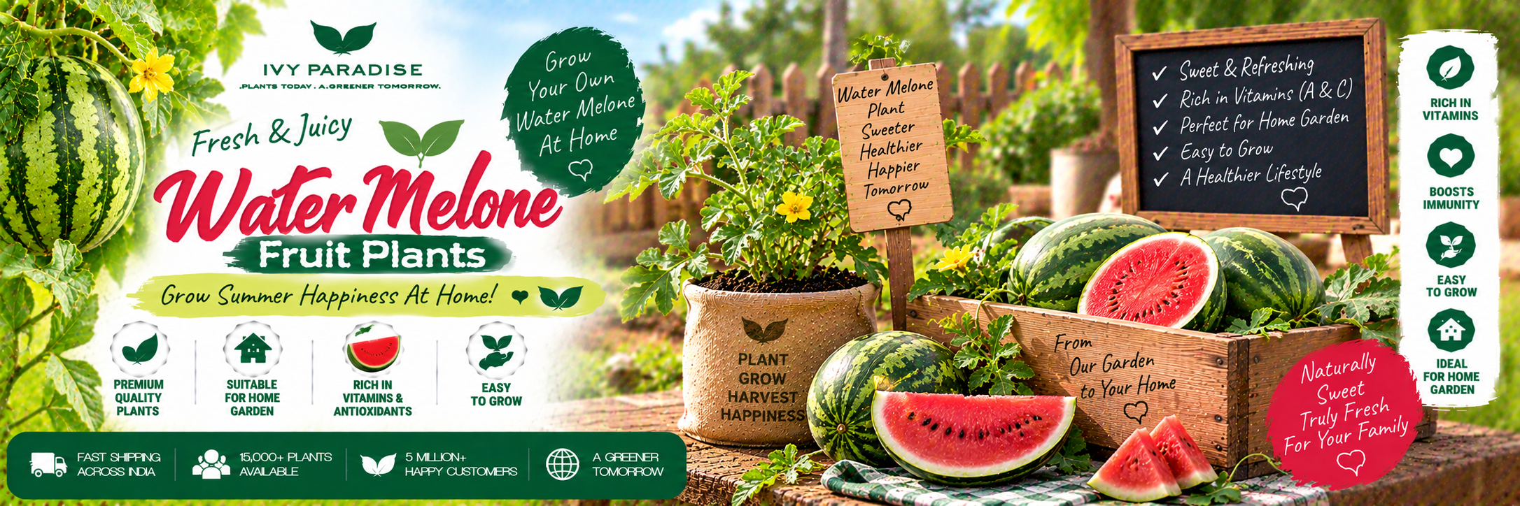 Water Melone