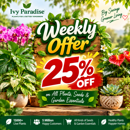 Weekly Offer 25%