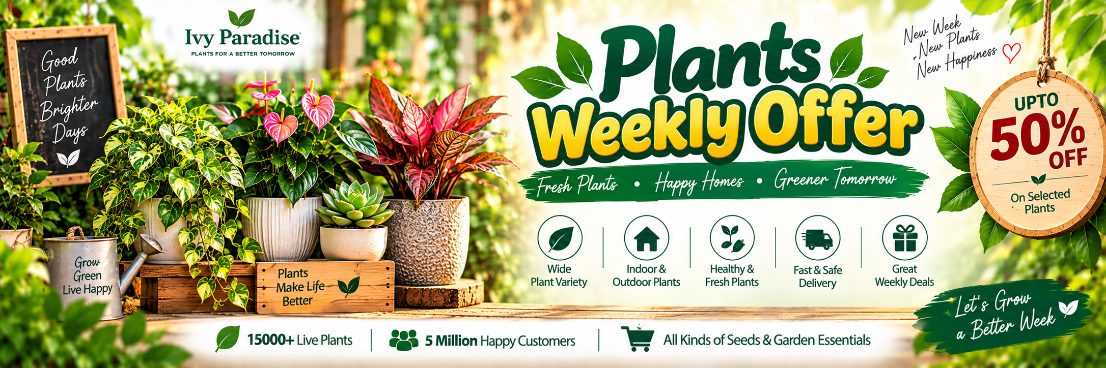 Weekly Offer