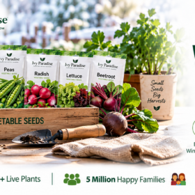 Winter Vegetable seeds