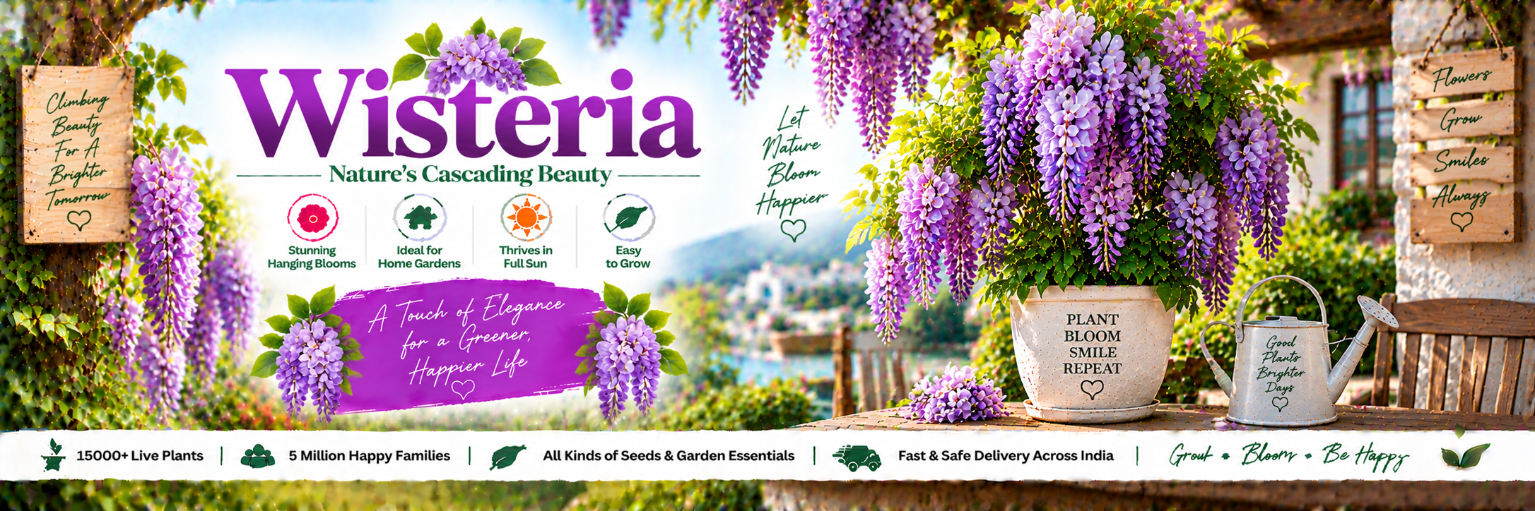 Wisteria