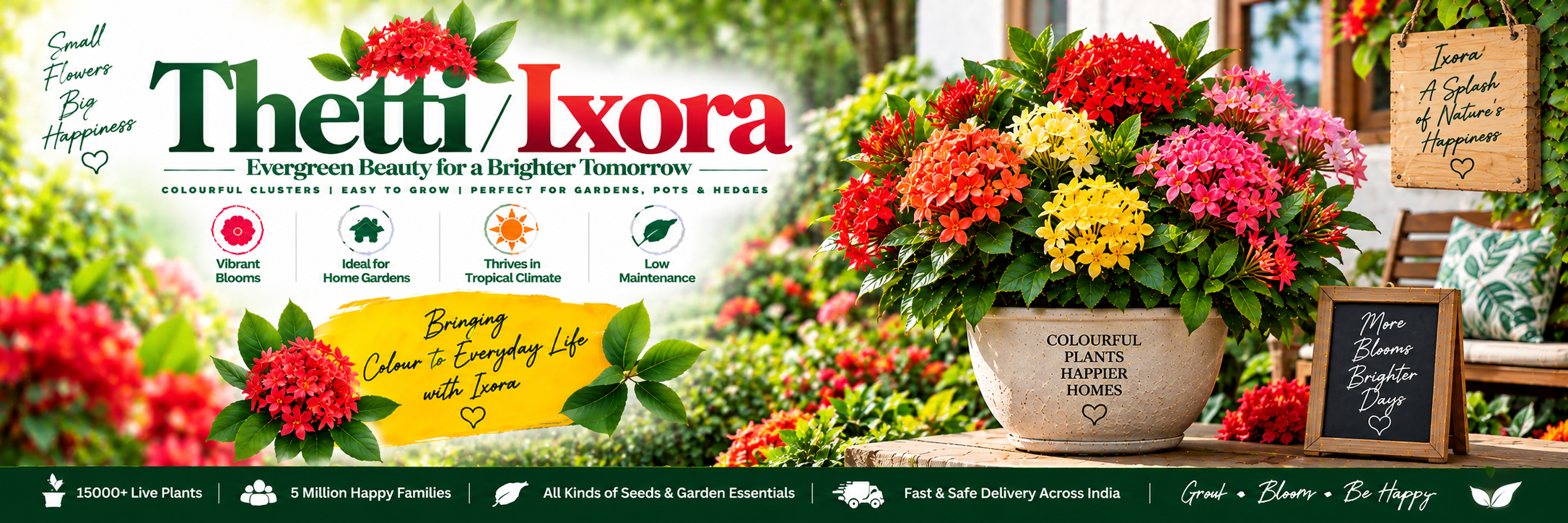 Thetti / Ixora