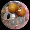 Dragon Eye Longan