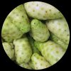 Noni Seeds Noni Seeds