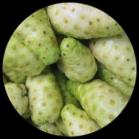 Noni Seeds