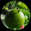 Citrus Grandis Pomelo