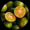 Calamansi (Philippine Lime) Calamondin