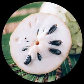 Sugar Apple (Annona Cherimoya)