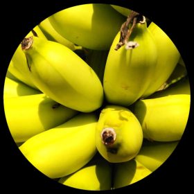 Red Tiger Banana